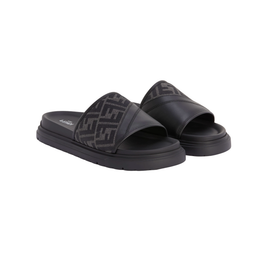 FDI Slides